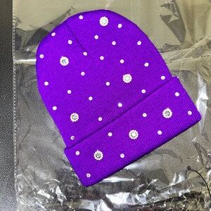 “Purple Reign” Beanie